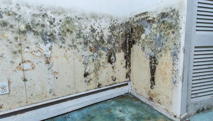 Water Damage and Odor Control Services in Quincy
